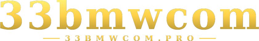 33bmwcom logo